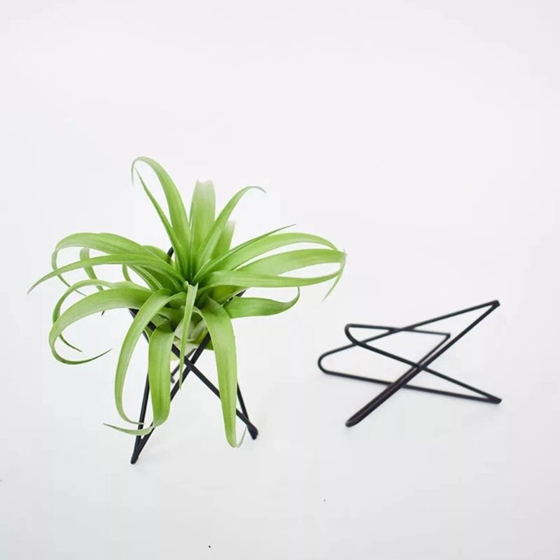 Uchwyt na rośliny powietrzne Metalowy stojak na doniczkę Geometryczny żelazny uchwyt Tillandsia Wyświetlacz artystyczny Ozdoby