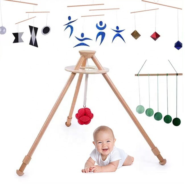 Adena Montessori Wooden Baby Montessori toys Newborn Baby Gift Set Play Activity Gym