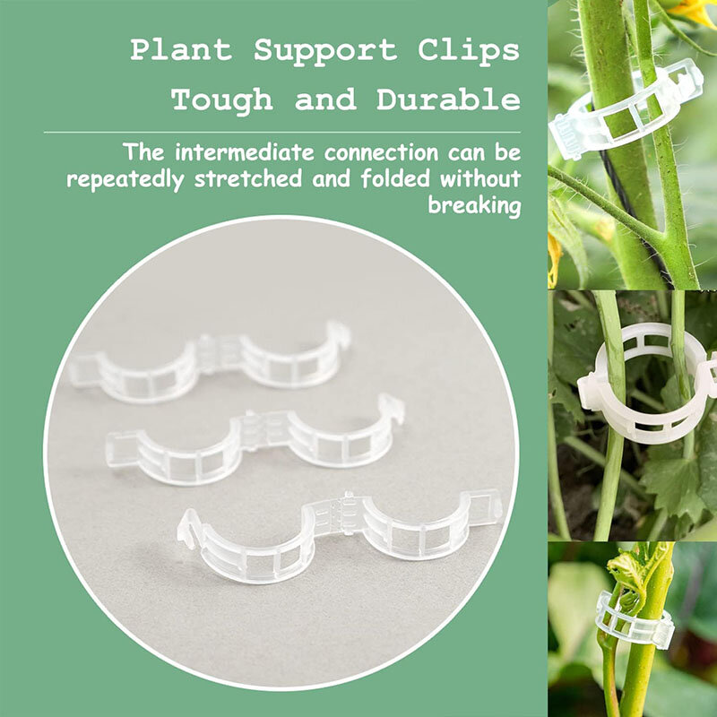 Clip para tomate de 50-100 piezas, herramienta de soporte para plantas, árbol de uva, plástico, conexión y encuadernación