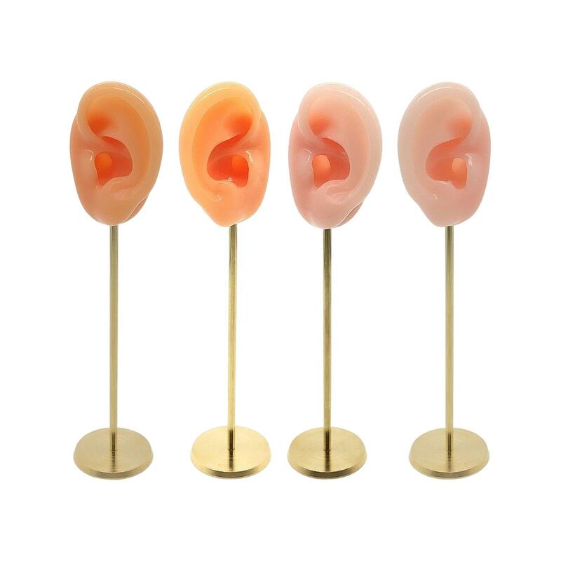 Moules d'oreille en Silicone, présentoir de boucles d'oreilles, outil de démonstration d'enseignement, support d'exposition pour appareils auditifs