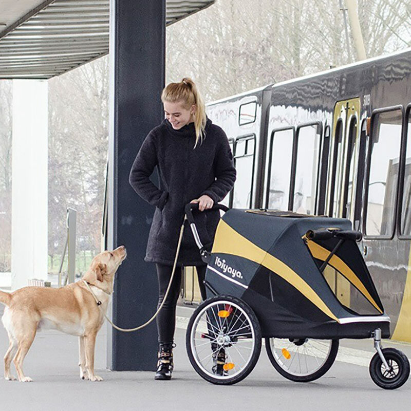 Pet Stroller for Dogs, Medium Dogs, Outdoor, Animals Trolleys with Wheels, Large