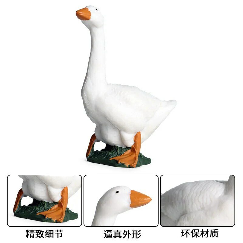 Simulação de animais aves de capoeira pastagem ganso branco cisne modelo animal cognitivo das crianças brinquedos de plástico sólido ornamentos feitos à mão