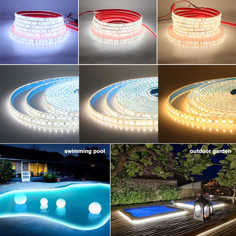 Fita LED de Néon com Fita de Diodo, Fita Flexível, Quente Natural Branco Frio, IP68 Impermeável, 120LEDs por m, 5m, 12V, 24V, SMD2835