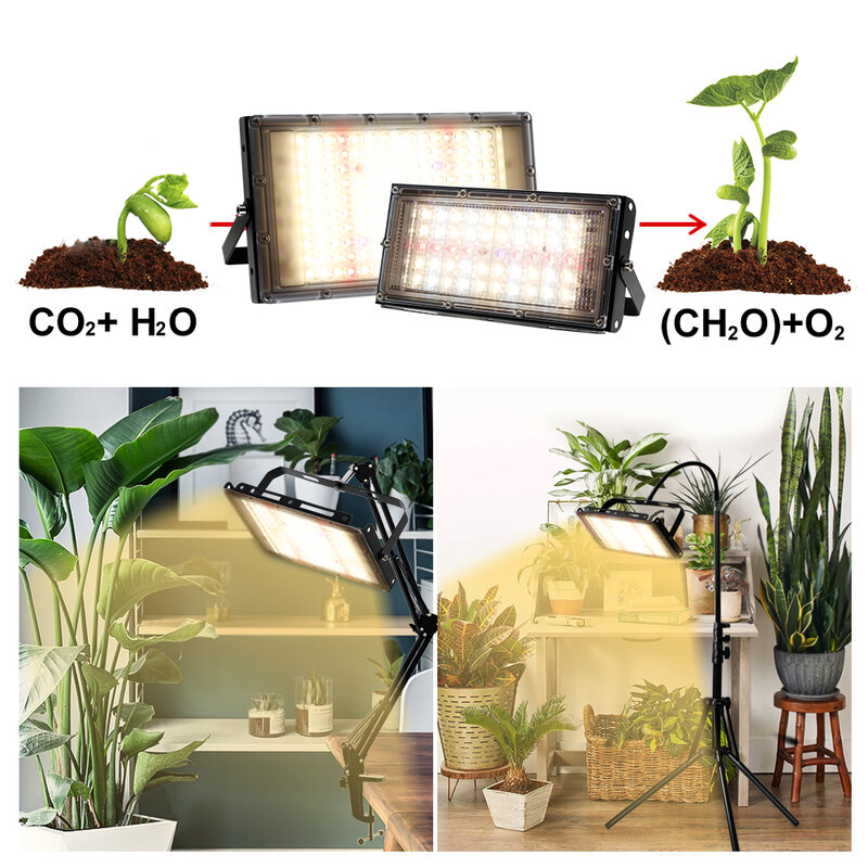 식물용 LED 성장 조명, 풀 스펙트럼 식물 램프, 삼각대, 데스크탑 클립, 온실 식물 조명, 220V, 50W, 100W, 150W