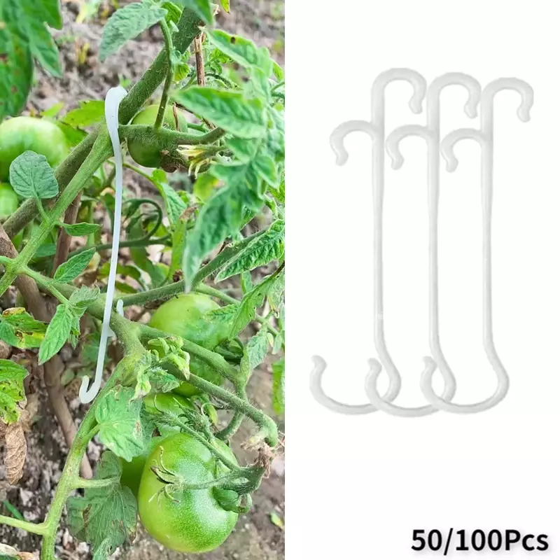 Ganchos J de soporte para tomate, Clips para vegetales, 13/16CM, evita que los tomates se pellizquen o se caigan