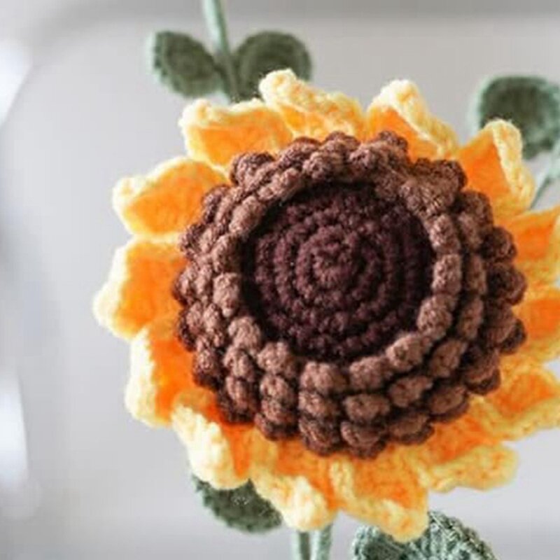 Kit de crochet de fleurs avec tutoriel vidéo étape par étape, plantes en pot plus grandes, 2 pièces