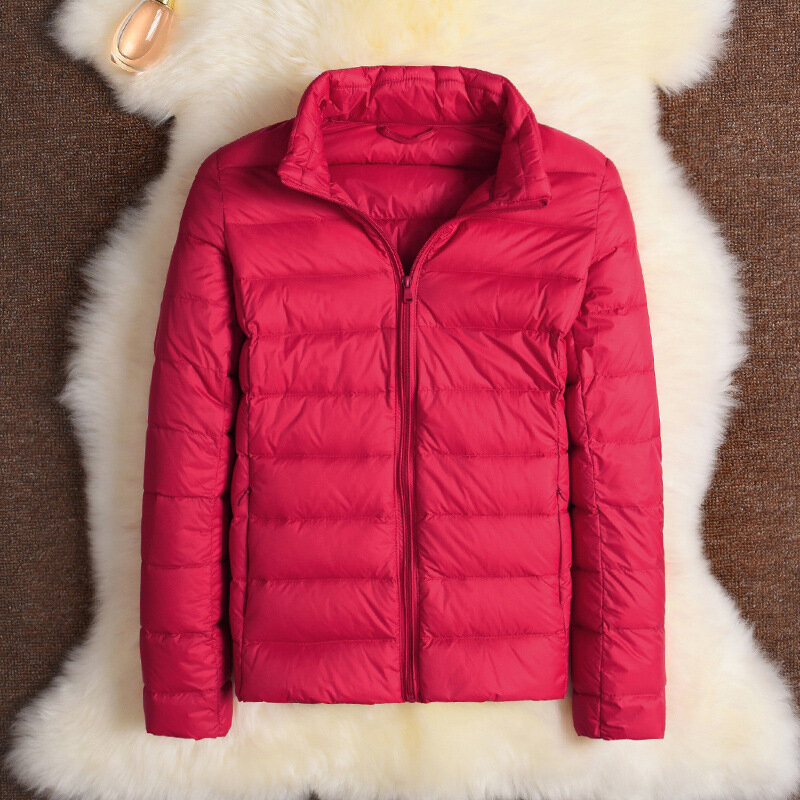 Abrigo de plumón ligero y corto para mujer, abrigo grande con capucha, versión coreana, otoño e invierno, novedad de 2024
