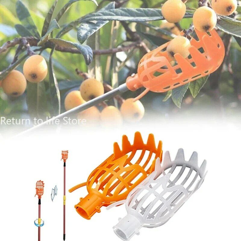 Keranjang taman pemetik buah kepala plastik alat pemetik buah ketinggian tinggi pemetik buah Loquat memetik alat Bayberry