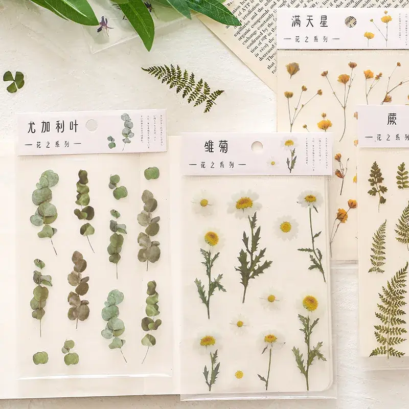 สติกเกอร์ดอกเดซี่ธรรมชาติ6แบบสติกเกอร์คำในภาษาญี่ปุ่นสติกเกอร์วัสดุใสดอกไม้ใบไม้พืชสติกเกอร์ตกแต่ง