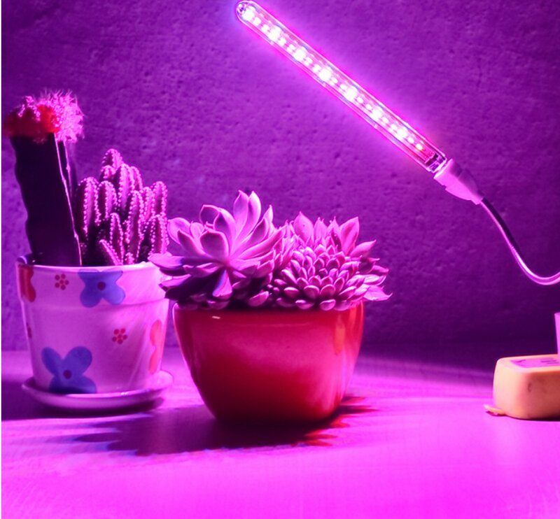 USB 5V LED 성장 램프 전체 식물 성장 빛, 실내 식물 램프 꽃 모종 온실 Fitolampy