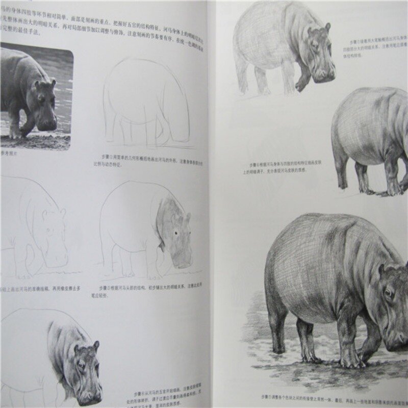 Vom Anfänger in der Malerei bis zum Skizzieren von Bleistift zeichnungen: Tier kapitel erziehung, die Literatur fiktion lehrt