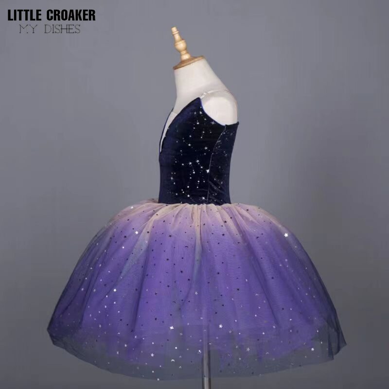 Vestido de Ballet con tutú para niña, ropa de actuación, disfraz de Hada, Lago de los Cisnes, 4 a 12 años
