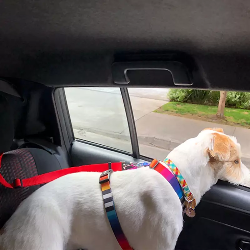 Solidny kolor dwa w jednym pas bezpieczeństwa w samochodzie dla zwierząt nylonowy smycz pas bezpieczeństwa z regulowanym kołnierzem smycz dla psów akcesoria dla zwierząt