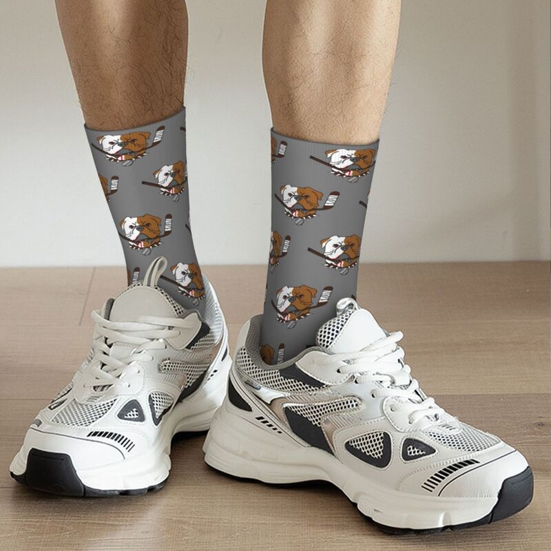 Носки SHORESY Sudbury Bulldogs с логотипом, поглощающие пот чулки Харадзюку, всесезонные длинные носки, аксессуары для подарка для мужчин и женщин