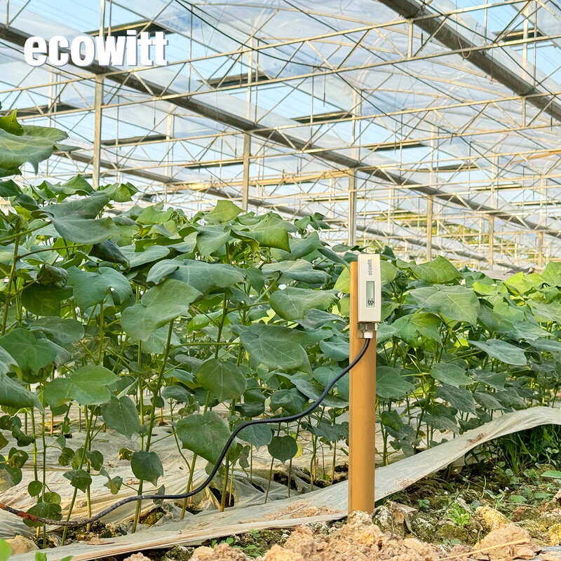 Ecowitt WH51L Długa sonda do głębokiego użytku Miernik wilgotności gleby Czujnik wilgotności gleby Monitor roślin Tester gleby do ogrodu Rolnictwo