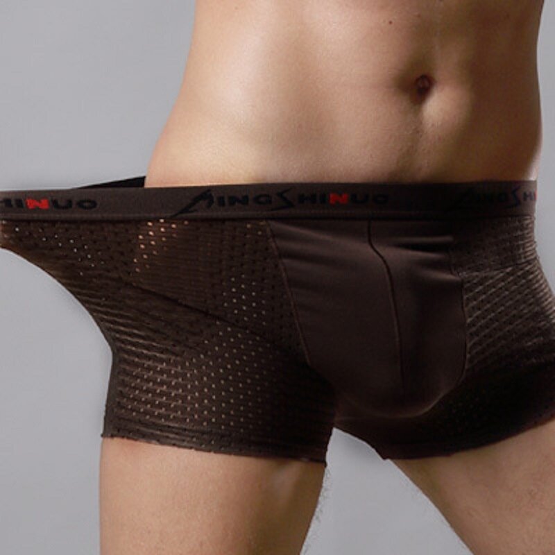 Slip Boxer traspiranti in rete trasparente da uomo in grafene mutandine Sexy con custodia in rigonfiamento vedere attraverso pantaloncini intimo mutande di grandi dimensioni
