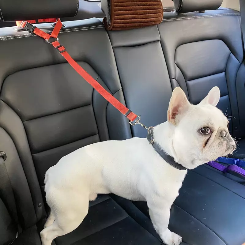 Lina nylonowa pas bezpieczeństwa dla psów w jednolitym kolorze pas bezpieczeństwa w samochodzie do chodzenia smycz regulowane akcesoria dla zwierząt z obrożą smycz dla psów