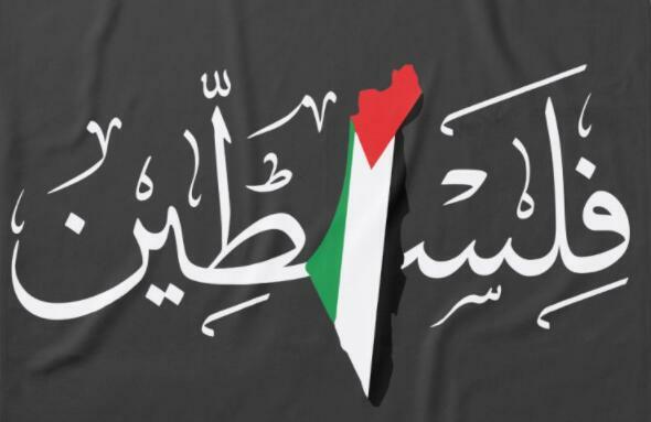 Sudadera con capucha de la bandera del mapa de Palestina, sudaderas Harajuku informales de algodón 100%, Otoño e Invierno