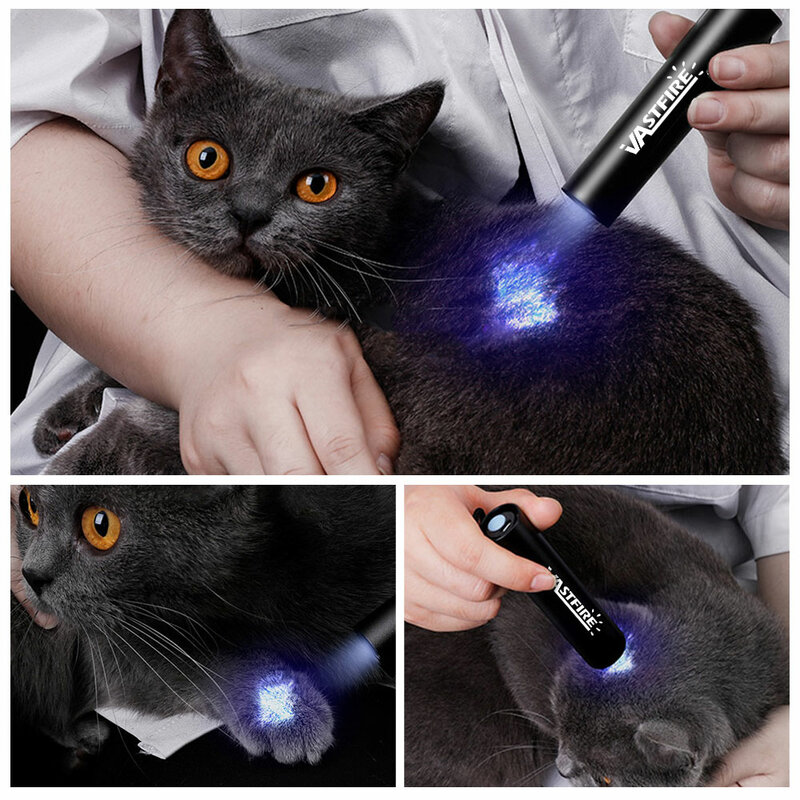 USB ricaricabile 365nm torcia UV lampada a raggi ultravioletti torcia luce nera rilevatore di muschio per animali domestici per macchie di cane gatto cimici del letto cibo muffa