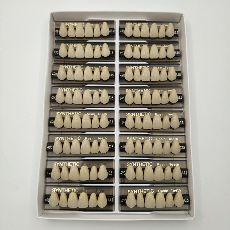 5 caixas Resina Dentadura Dentier Polímero Sintético Dentes Dental Educação Modelo Anterior Dentes Posteriores