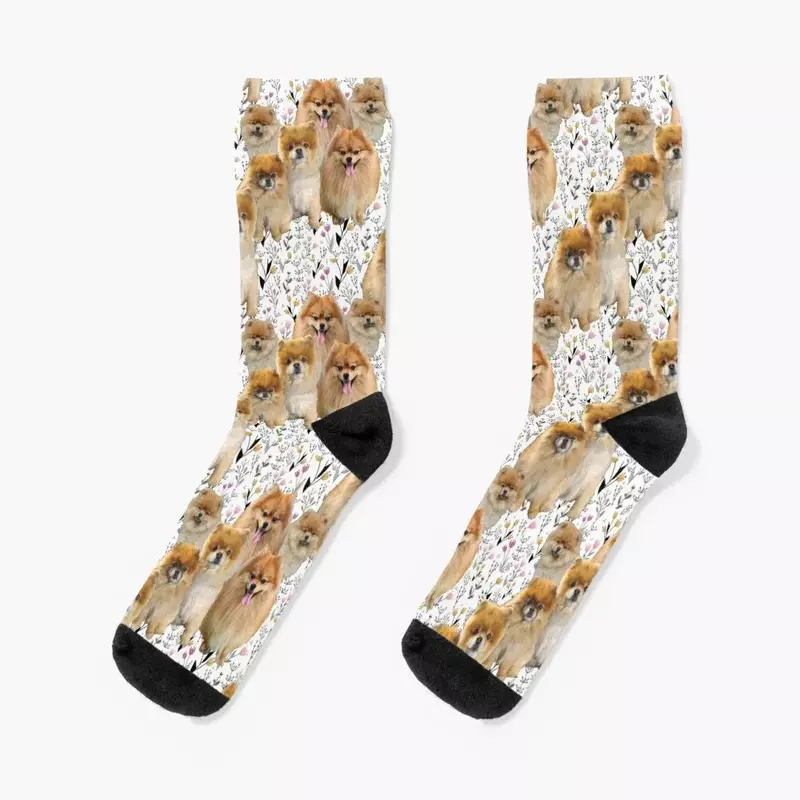 Носки с изображением померанского шпица, роскошные женские носки счастливого человека