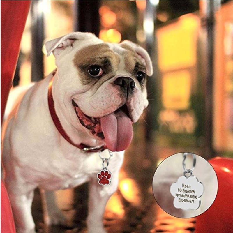 Personalizado pet gravura id nome tag cão anti-perdido personalizado colar coleira acessórios gato id telefone tag pingente filhote de cachorro decorações