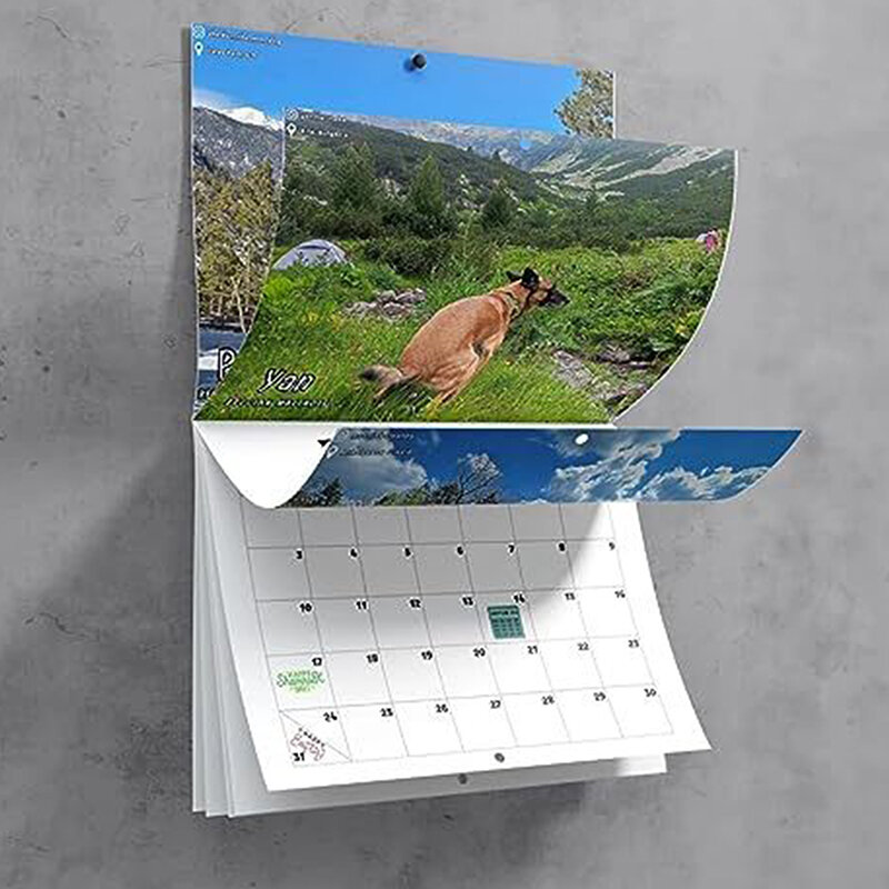 2024 Wall Calendar-Dog Pooping Calendar, Monthly Calendar Planner,Thick & Sturdy Paper,Funny Dog Calendar Gag Gifts For Family