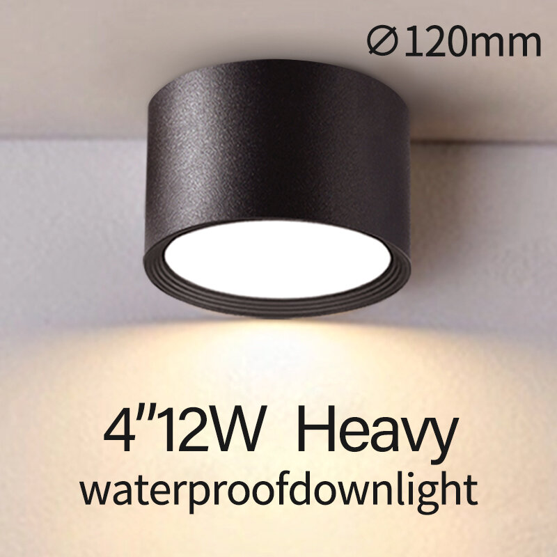 Luz descendente IP65 a prueba de agua, 12V de CC, para exteriores, balcón, tienda, puerta, pasillo, hotel, ducha y salpicaduras, 12W