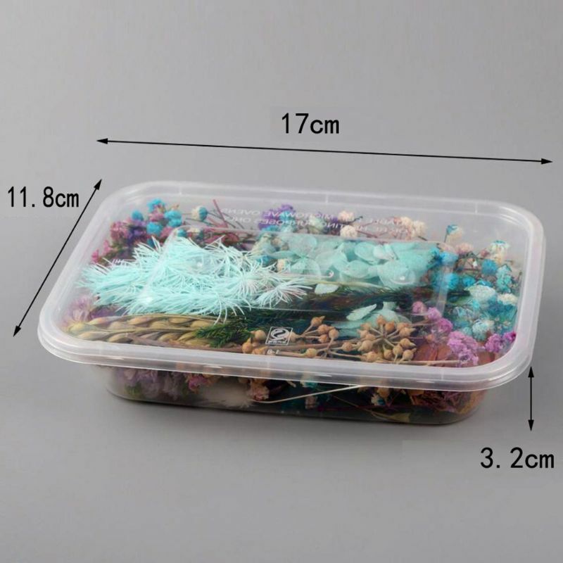 1 Box Real Mix Dried Flowers for Resin Jewellery Dry Plants Pressed Flowers Making Craft DIY Accessories Home Use
