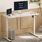 48in Whole Piece Desktop Height Adjustable Home Office Standing Desk