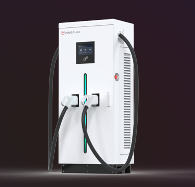 Pingalax Popular Style 60kw80kw120kwDC EV Charger New Energy Vehicle Parts & Accessories Home Charger And Fast Charging Station