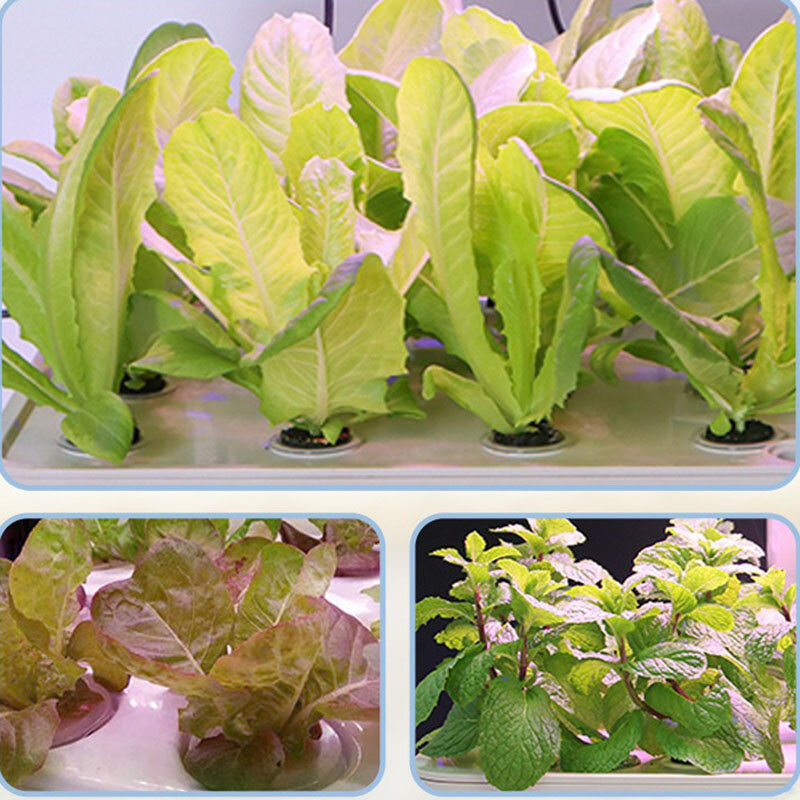 Система выращивания в гидропонике, вертикальное умное садоводческое оборудование, машины для посадки овощей, многослойная безмасляная аэробная система