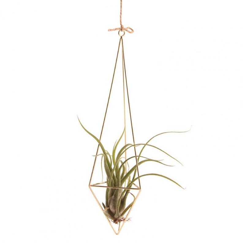 Ventilated Air Plant Holder Geometric Glass Terrarium Propagation Station with Iron Stand for Home Office Decor Plant for Air