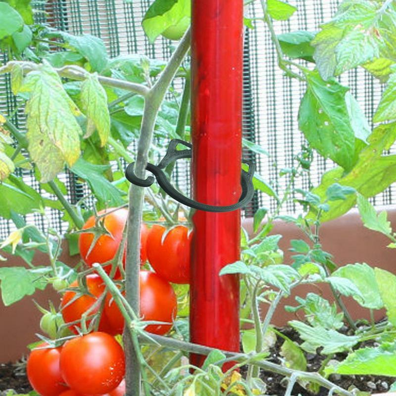 Clip per pomodori clip di supporto per piante a traliccio a forma di gatto clip per pinze ad anello per piante da giardinaggio e fiori clip da giardino per crescere
