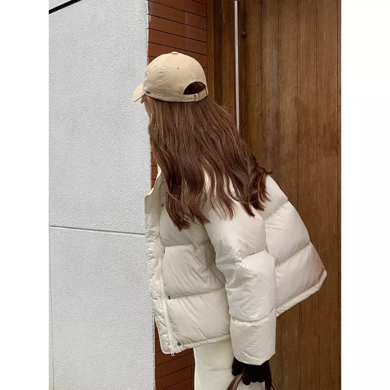 Chaqueta de plumón de estilo coreano para mujer, Parka corta holgada y cálida con cuello levantado, abrigo ligero a la moda, R398