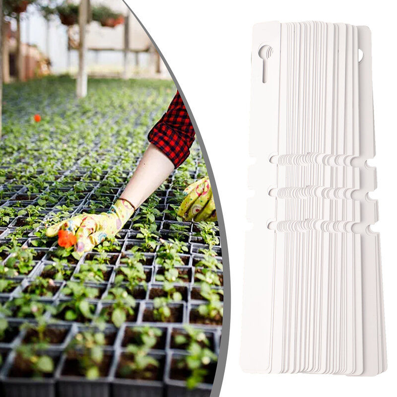 Rotulador de plástico impermeable para plantas de jardinería, herramienta de etiquetado, perchas, etiquetas, suministros de jardinería, PVC, 100 piezas