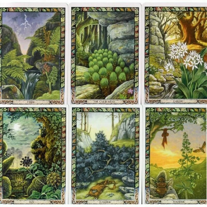 Das Druiden pflanzen orakel: Arbeiten mit der magischen Flora der Druiden tradition 36 Stück Karten 10.4*7,3 cm