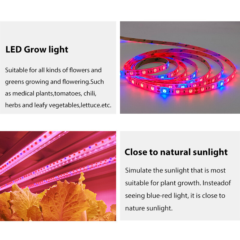 Tira de luces LED para cultivo de plantas, lámpara phyto de espectro completo, impermeable para luz de crecimiento hidropónico de invernadero + adaptador de corriente