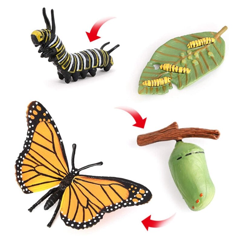 Juego de tablero de ciclo de vida de mariposa, etapas de estilo de vida, herramientas de enseñanza para niños, ciclo de crecimiento Animal, juguetes educativos