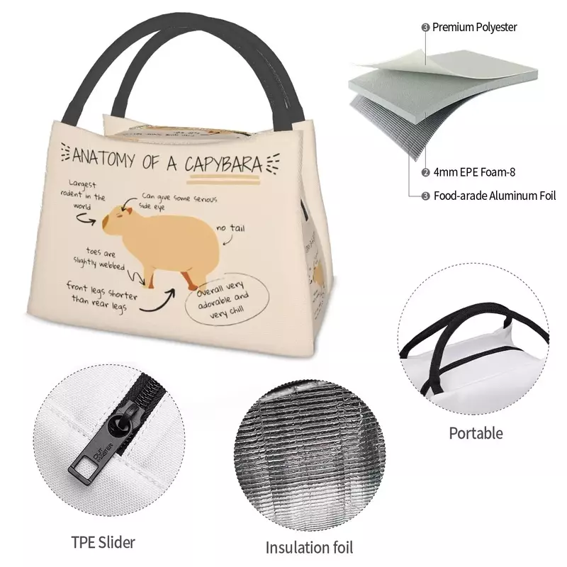 Anatomy Of Capybara Lunch Bag Animals Convenient Lunch Box School Print Cooler Bag Leisure Oxford Thermal Lunch Bags