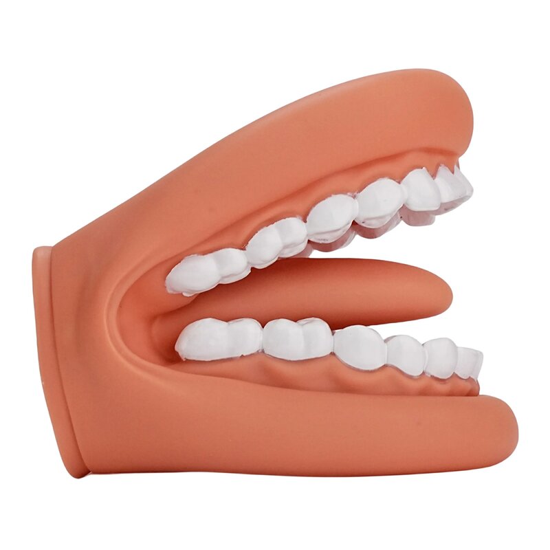 Boneka tangan mulut dengan lidah untuk terapi pidato dokter gigi pembelajaran edukasi sumber daya lidah anak Model pengajaran pidato