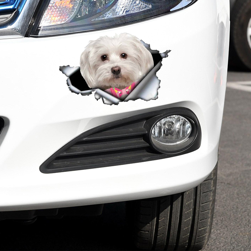 Autocollant 3D en vinyle Auto-adhésif, autocollant de voiture, chien maltais mignon, décorations automobiles imperméables sur pare-chocs fenêtre arrière ordinateur portable