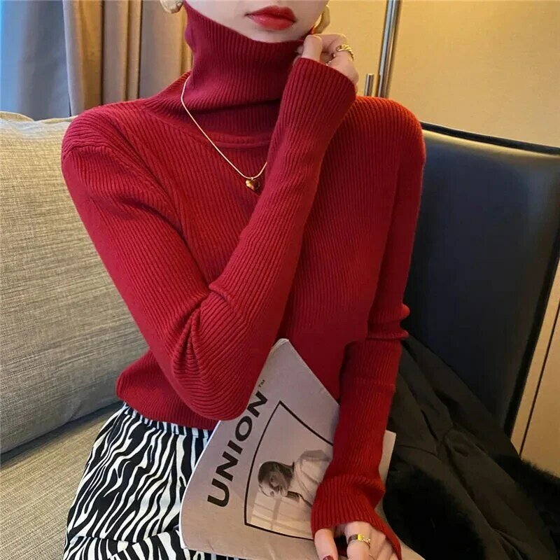 Spring Autumn Turtleneck Pullovers Sweaters Basic Women Long Sleeve Korean Slim Sweaters Casual Jumper Female Knitted Top