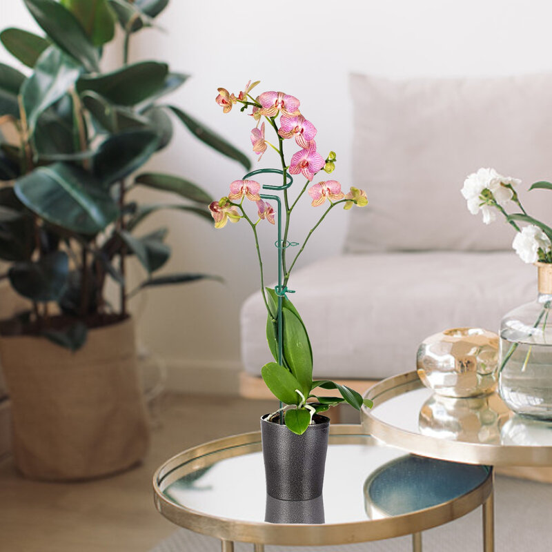 6pc Garten Bonsai Unterstützung Stake Stander Einzigen Stamm Strauch Halter Schmetterlinge Orchidee Sukkulenten Phalaenopsis Blume Vergossen Unterstützung