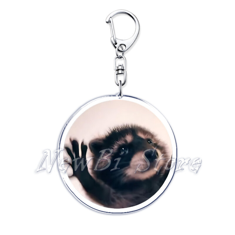 Cute Dancing pedon Raccoon Meme portachiavi in acrilico anello per accessori borsa ciondolo portachiavi gioielli fan regali