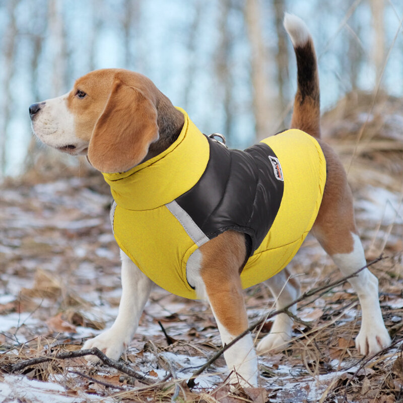 小型犬と大型の防水犬用ジャケット,暖かい服,子犬用ベスト,チワワのコート,フレンチブルドッグ,パグの衣装