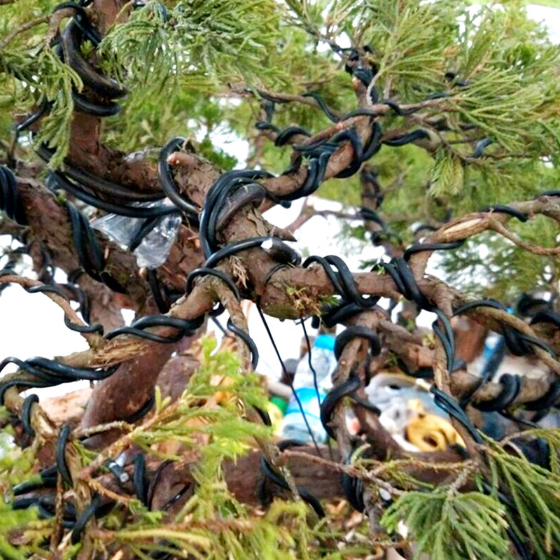 Alambre de entrenamiento para bonsái, alambre de aluminio anodizado de 5m (negro) para formas de plantas, 5 tamaños (1,0mm, 1,5mm, 2,0mm, 2,5mm, 3mm)