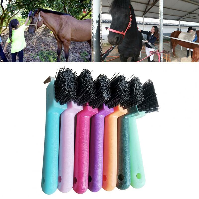 Suministros de cepillo de pezuña de caballo Premium, cepillo de herradura con agujero colgante, cepillo de limpieza para el cuidado de caballos para uso profesional