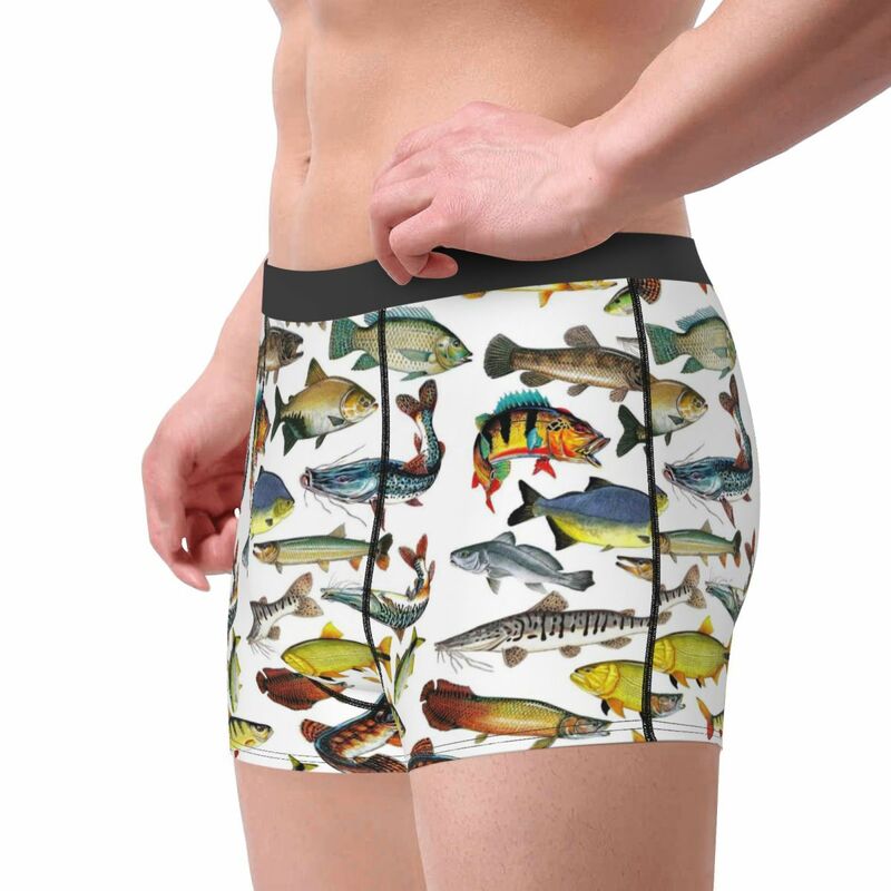 Peixes tropicais coloridos cuecas boxer masculinas, cuecas altamente respiráveis, shorts estampados em 3D, várias cuecas de alta qualidade, presentes de aniversário