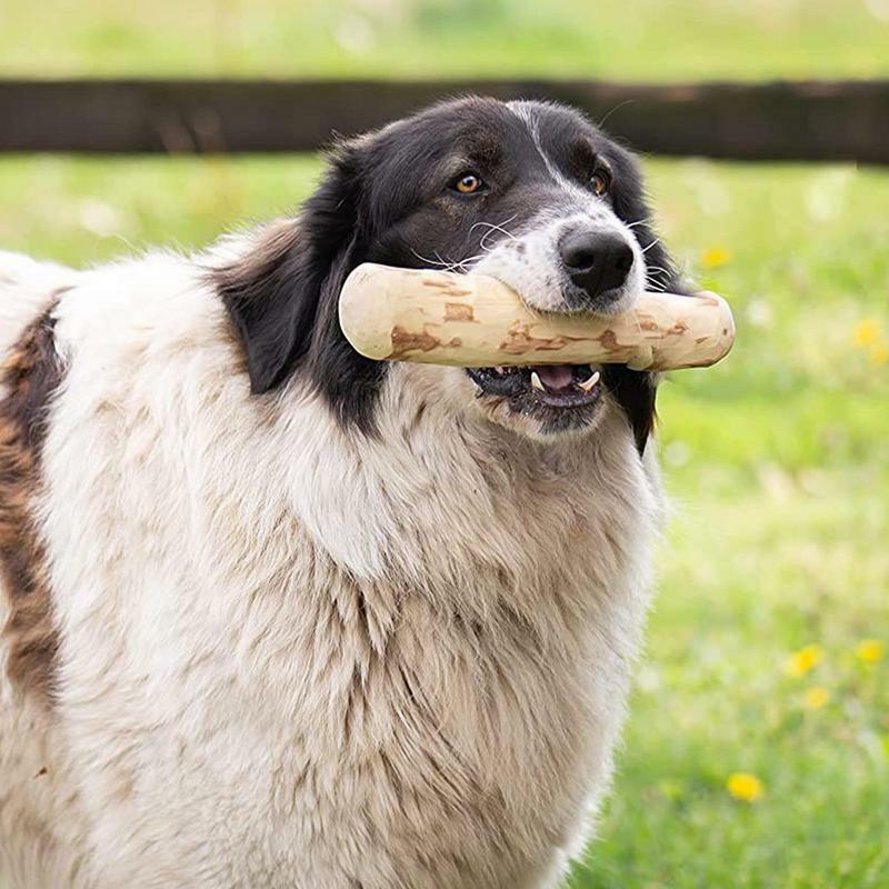Il legno del cane mastica il bastone di legno del caffè per i giocattoli di masticazione dell'animale domestico dei cani per l'intrattenimento e la pulizia dei denti massaggiagengive lenitive dure